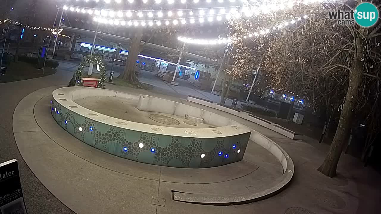 Camera en vivo Fuente de cerveza – Oro verde – Žalec