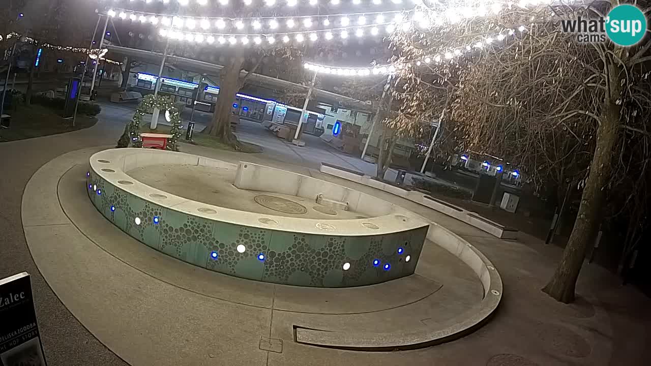 Fontana di birra Webcam – Oro verde – Žalec