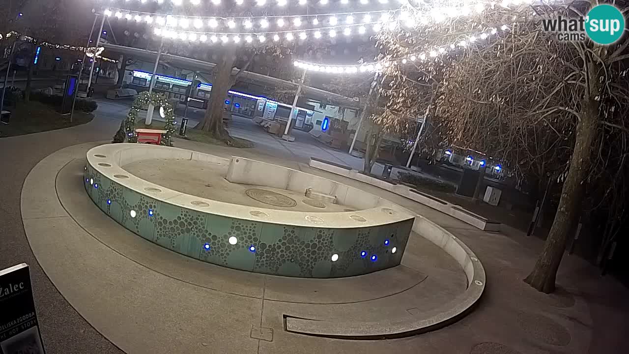 Fontaine à bière LIVE webcam – Or vert – Žalec