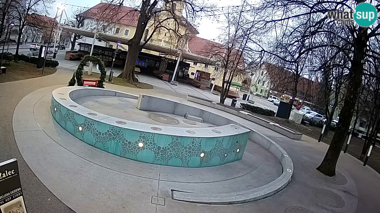 Spletna kamera Fontana Piv – Zeleno zlato Žalec