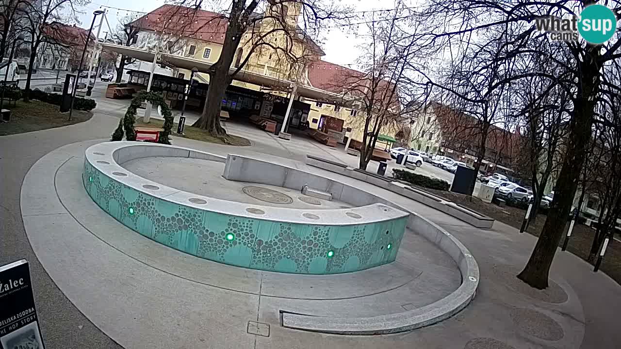 Spletna kamera Fontana Piv – Zeleno zlato Žalec