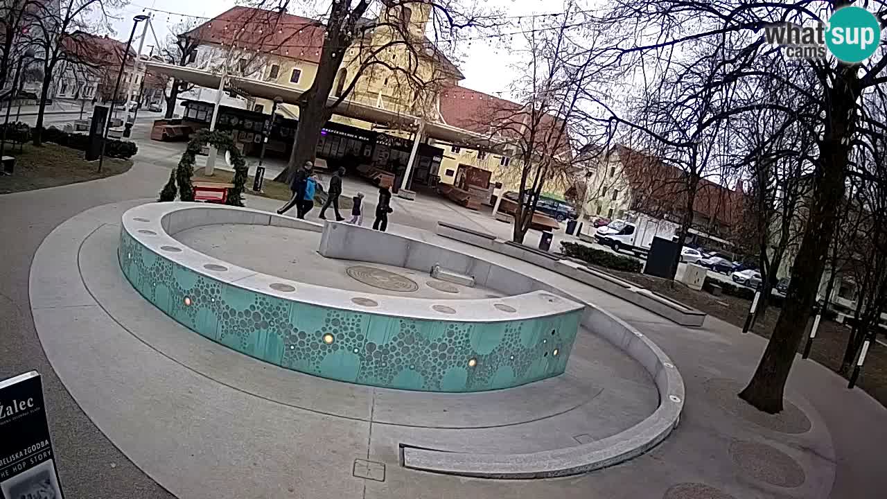 Bier-Springbrunnen Webcam Žalec – Grünen Goldes