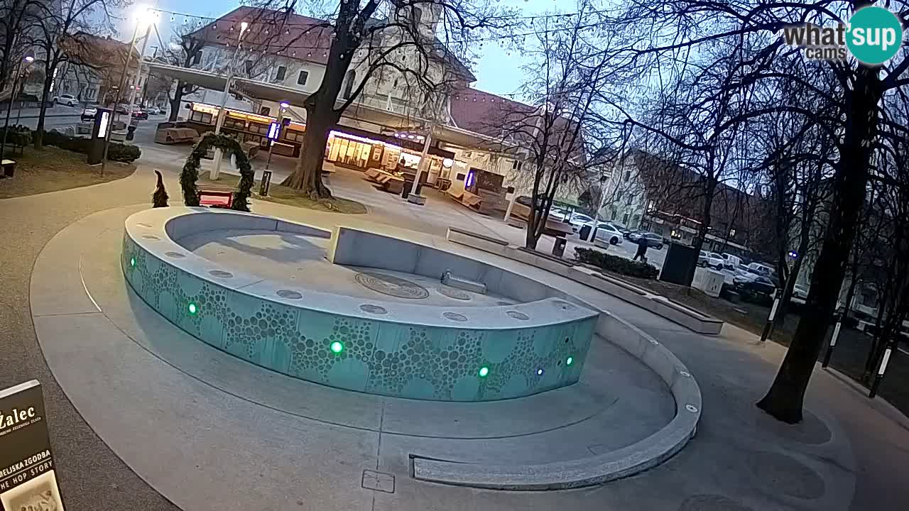 Fontaine à bière LIVE webcam – Or vert – Žalec