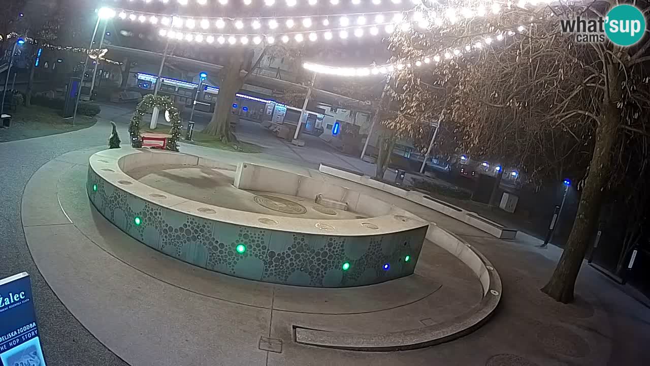 Fontaine à bière LIVE webcam – Or vert – Žalec
