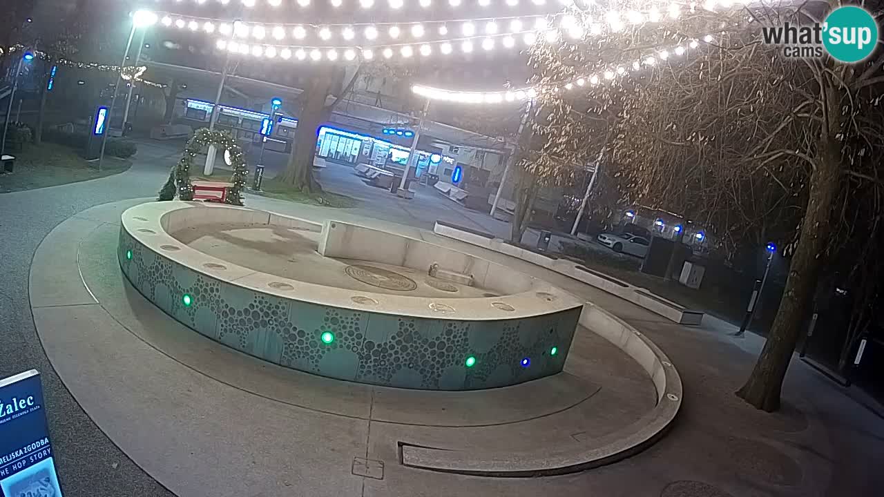 Fontana di birra Webcam – Oro verde – Žalec