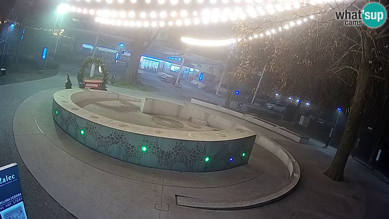Fontaine à bière LIVE webcam – Or vert – Žalec