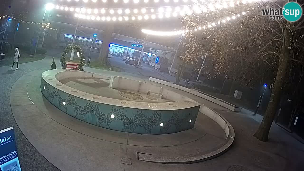 Bier-Springbrunnen Webcam Žalec – Grünen Goldes