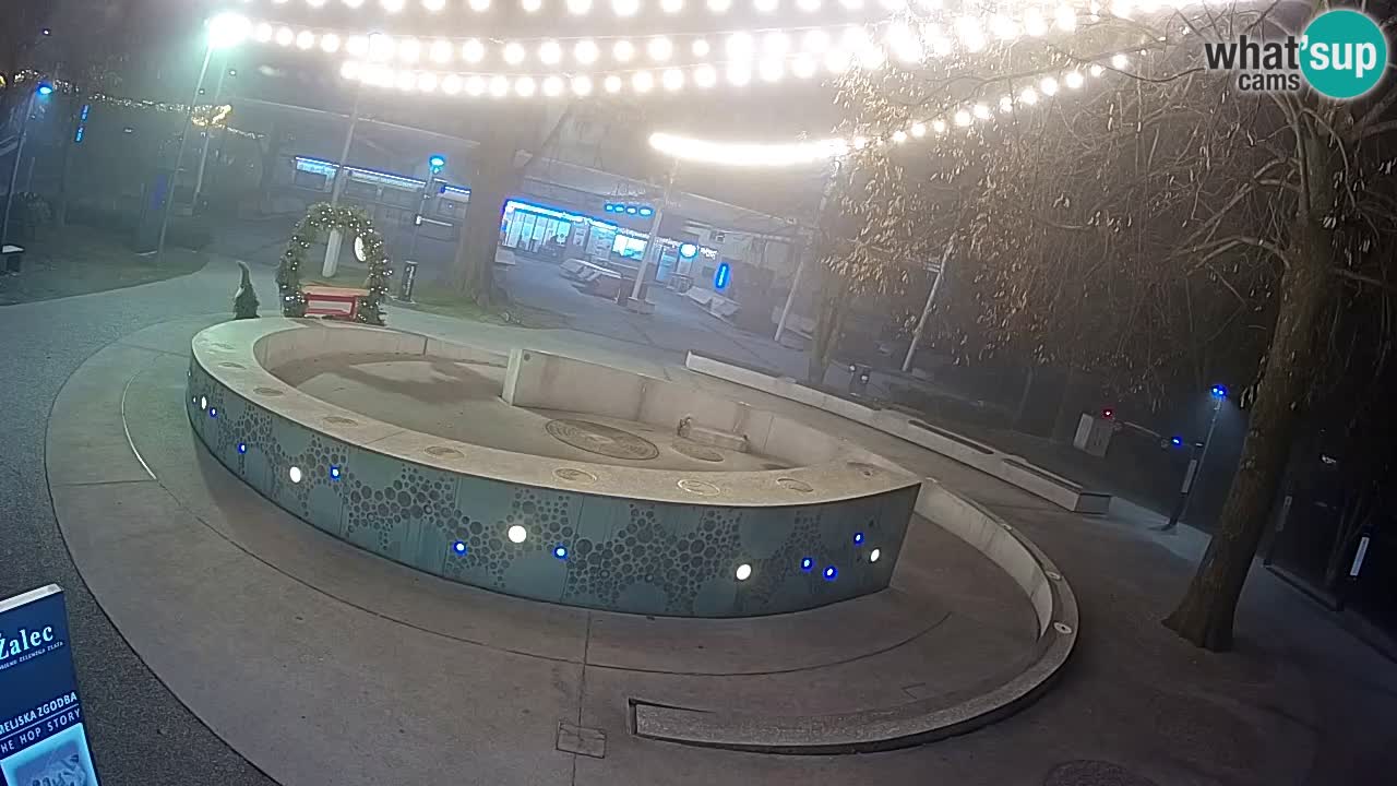 Fontaine à bière LIVE webcam – Or vert – Žalec