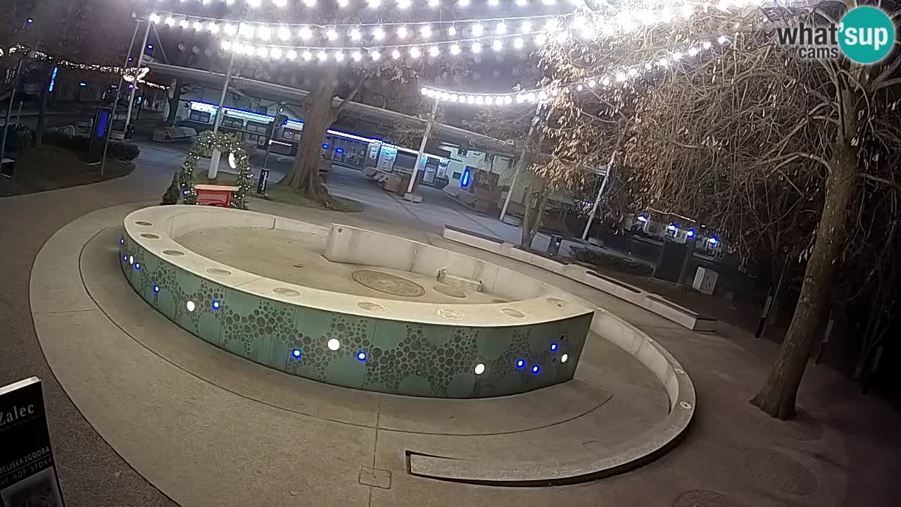 Spletna kamera Fontana Piv – Zeleno zlato Žalec