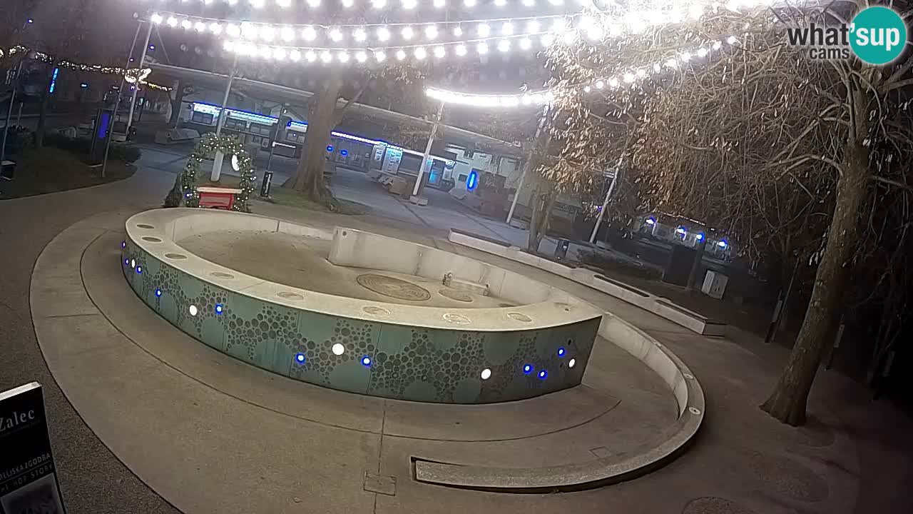 Fontaine à bière LIVE webcam – Or vert – Žalec