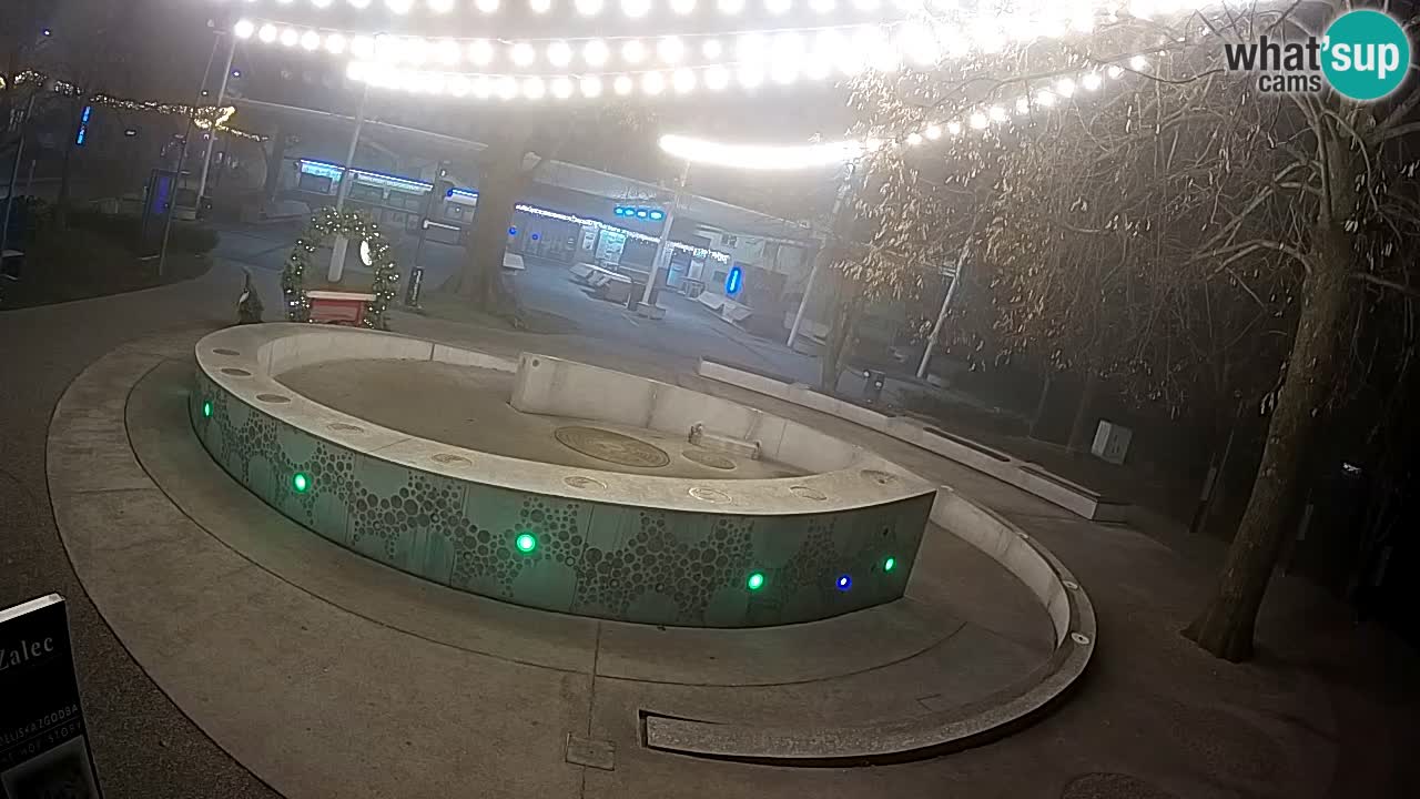 Camera en vivo Fuente de cerveza – Oro verde – Žalec