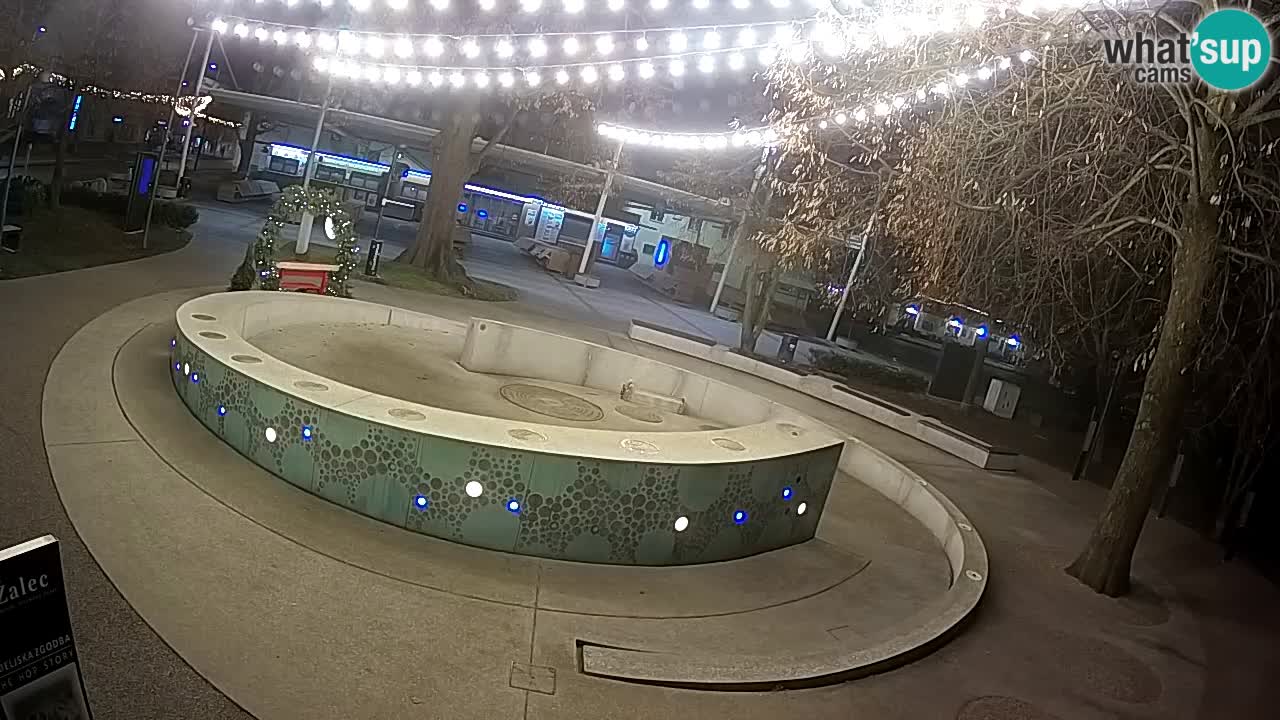 Bier-Springbrunnen Webcam Žalec – Grünen Goldes