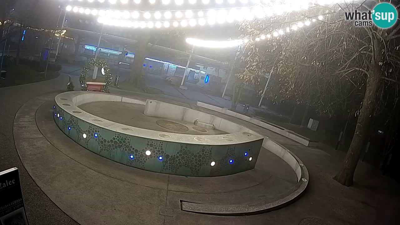 Camera en vivo Fuente de cerveza – Oro verde – Žalec