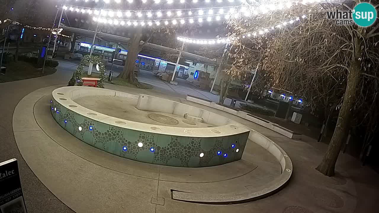 Camera en vivo Fuente de cerveza – Oro verde – Žalec