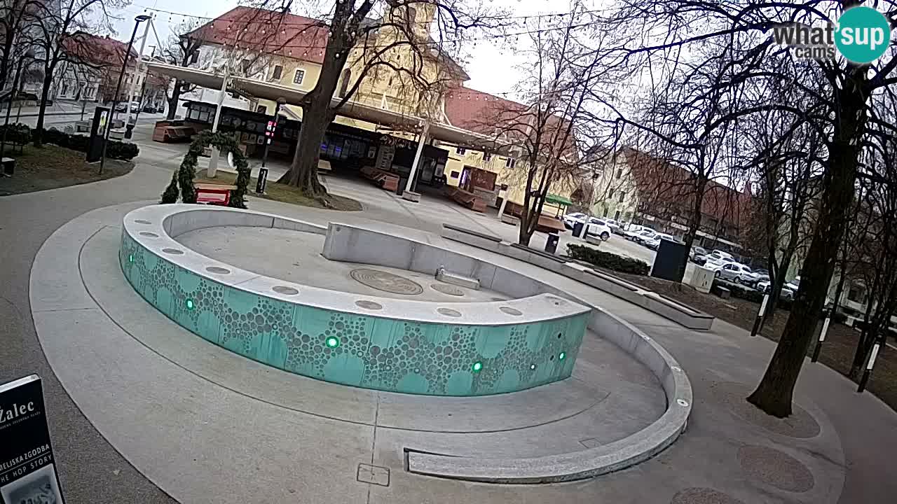 Web kamera Fontana piva – Zeleno zlato – Žalec
