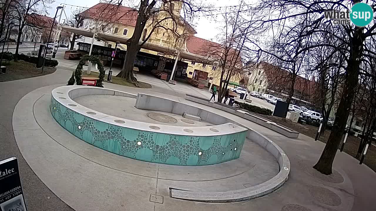 Spletna kamera Fontana Piv – Zeleno zlato Žalec