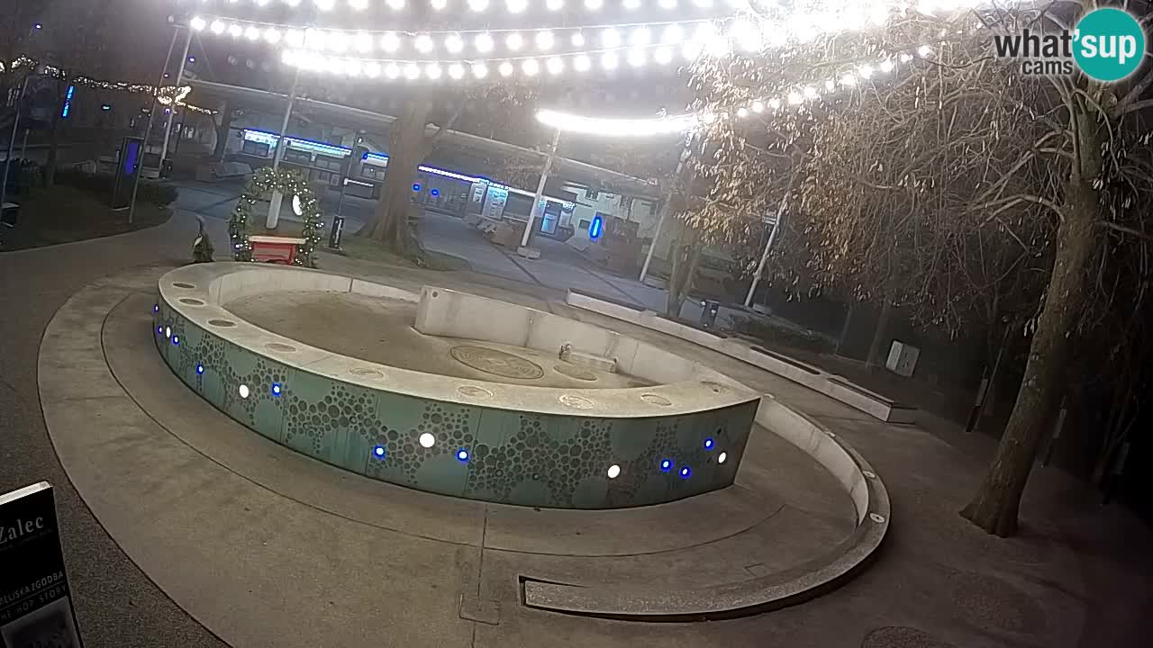 Fontaine à bière LIVE webcam – Or vert – Žalec