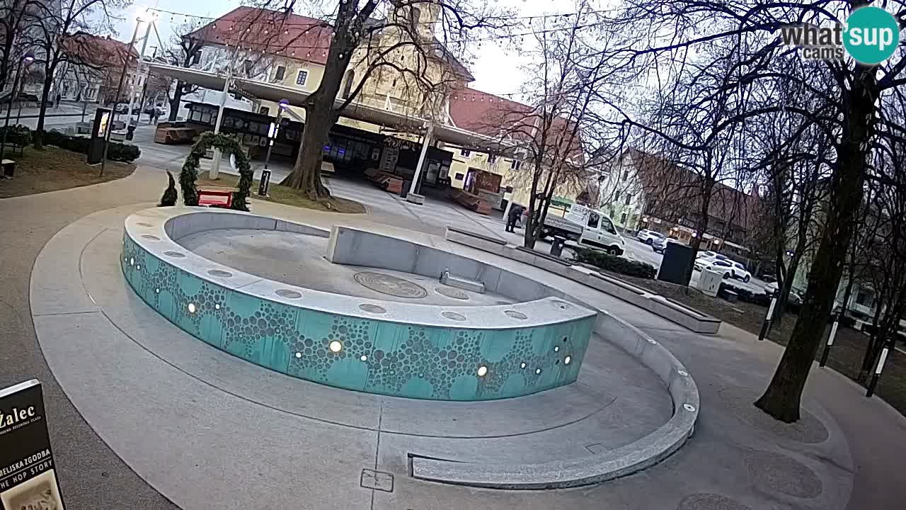 Web kamera Fontana piva – Zeleno zlato – Žalec