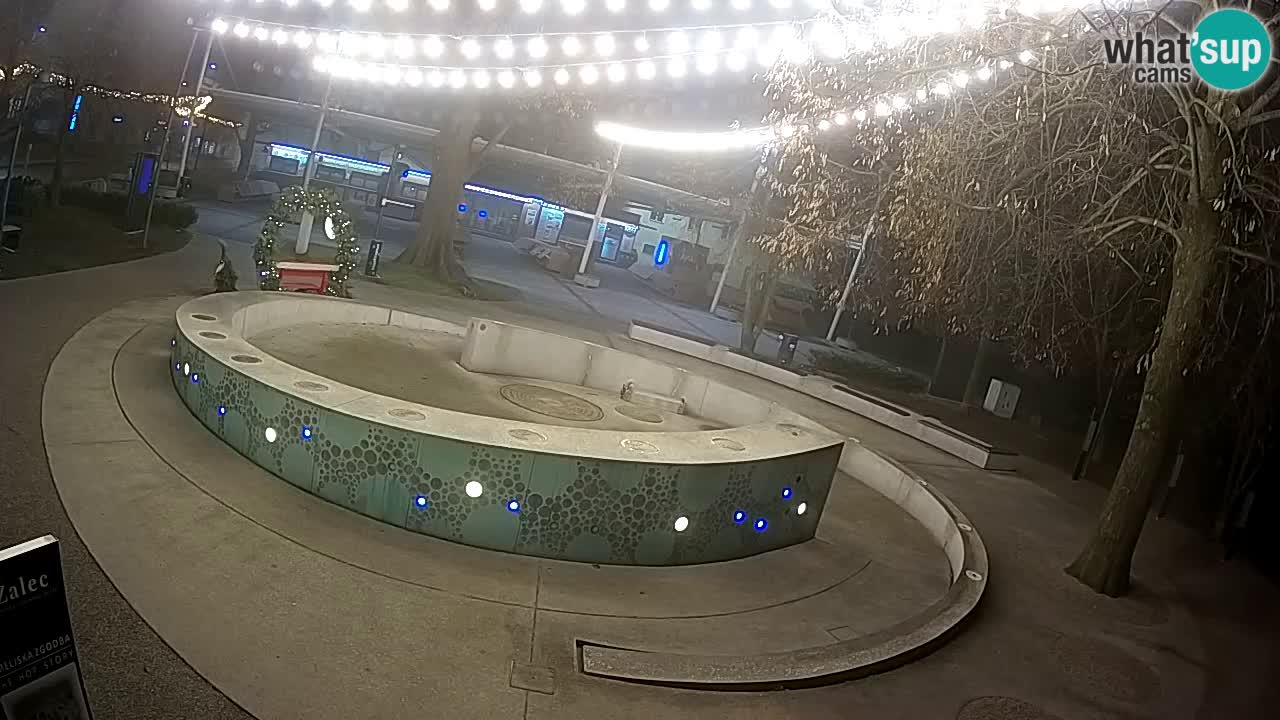 Spletna kamera Fontana Piv – Zeleno zlato Žalec