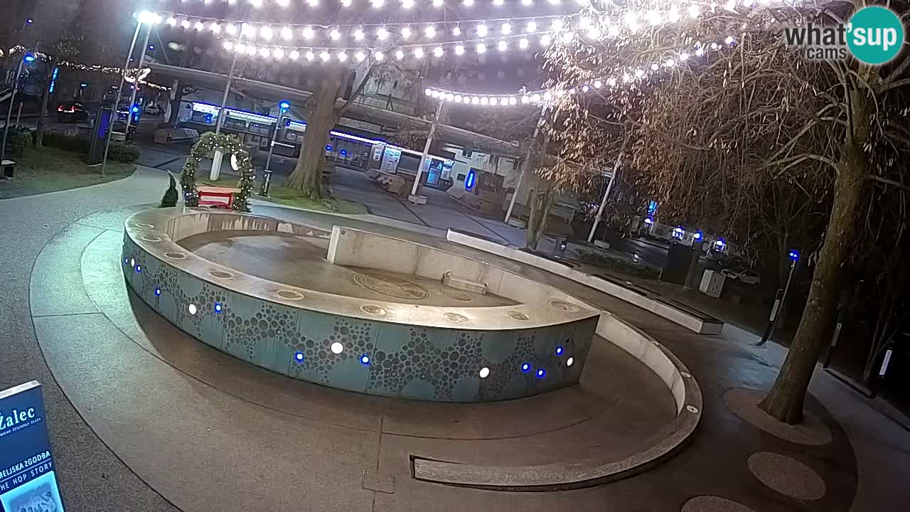 Fontaine à bière LIVE webcam – Or vert – Žalec