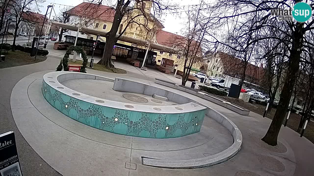 Web kamera Fontana piva – Zeleno zlato – Žalec