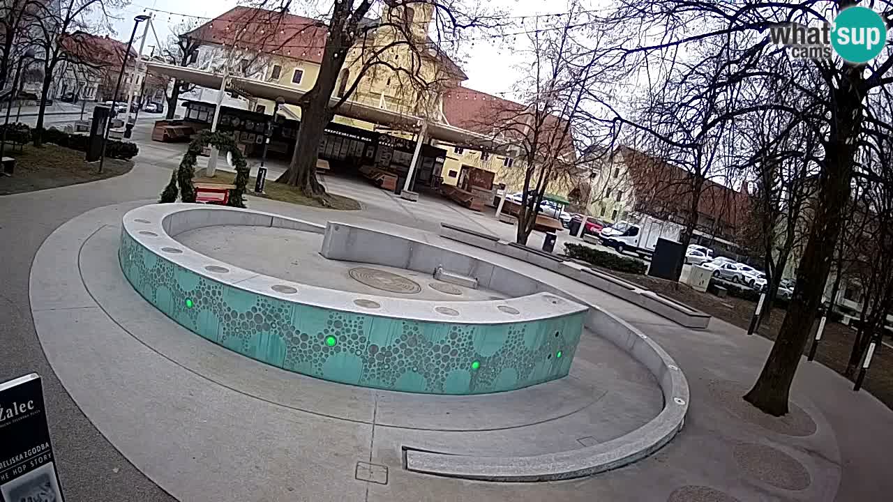 Spletna kamera Fontana Piv – Zeleno zlato Žalec