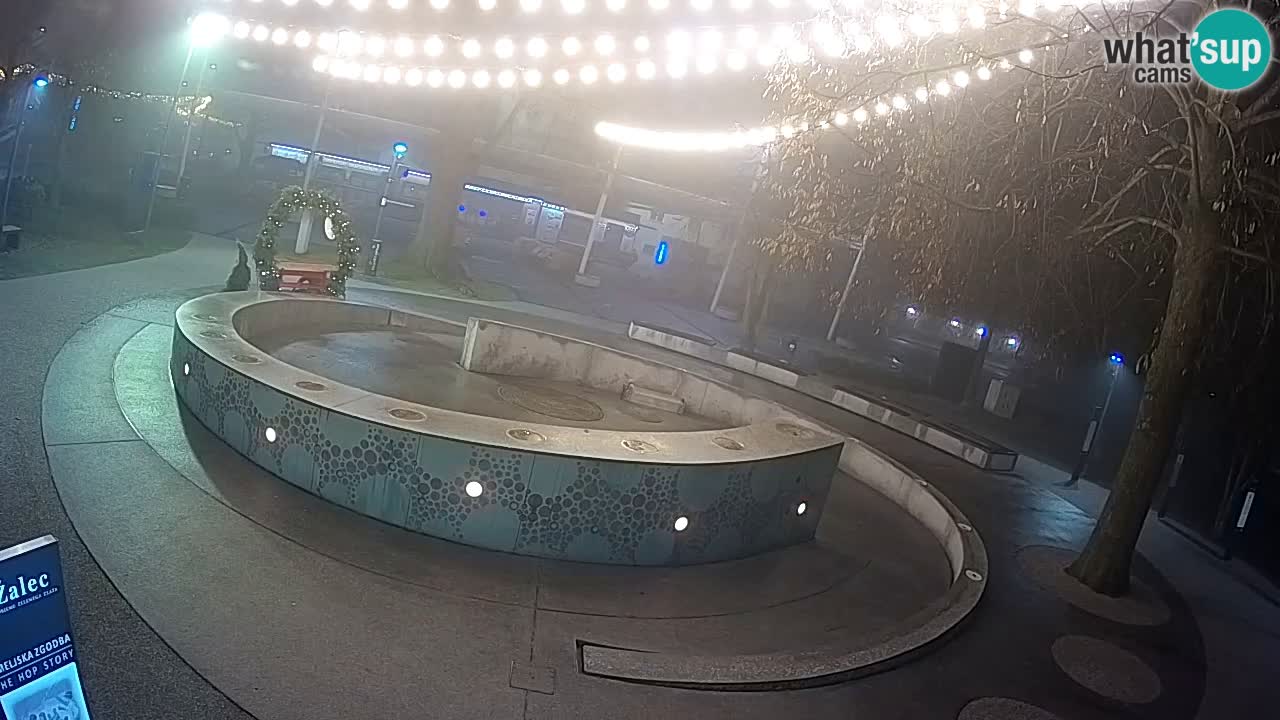 Bier-Springbrunnen Webcam Žalec – Grünen Goldes