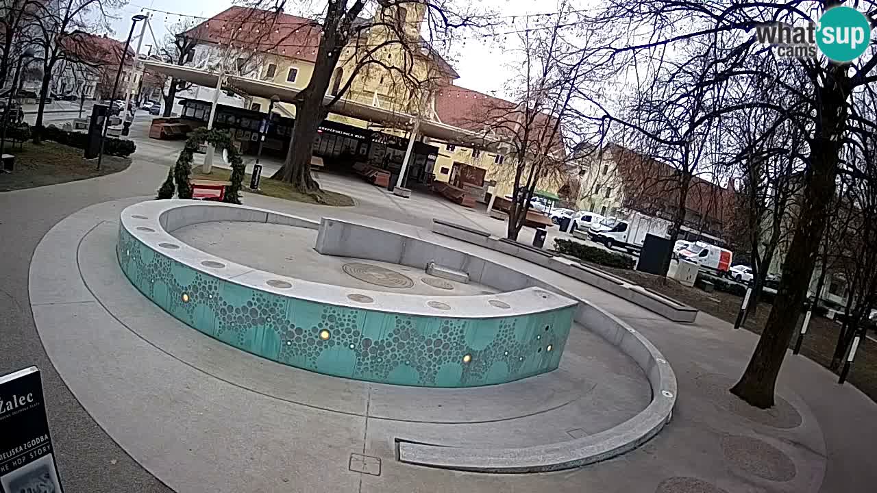 Fontaine à bière LIVE webcam – Or vert – Žalec