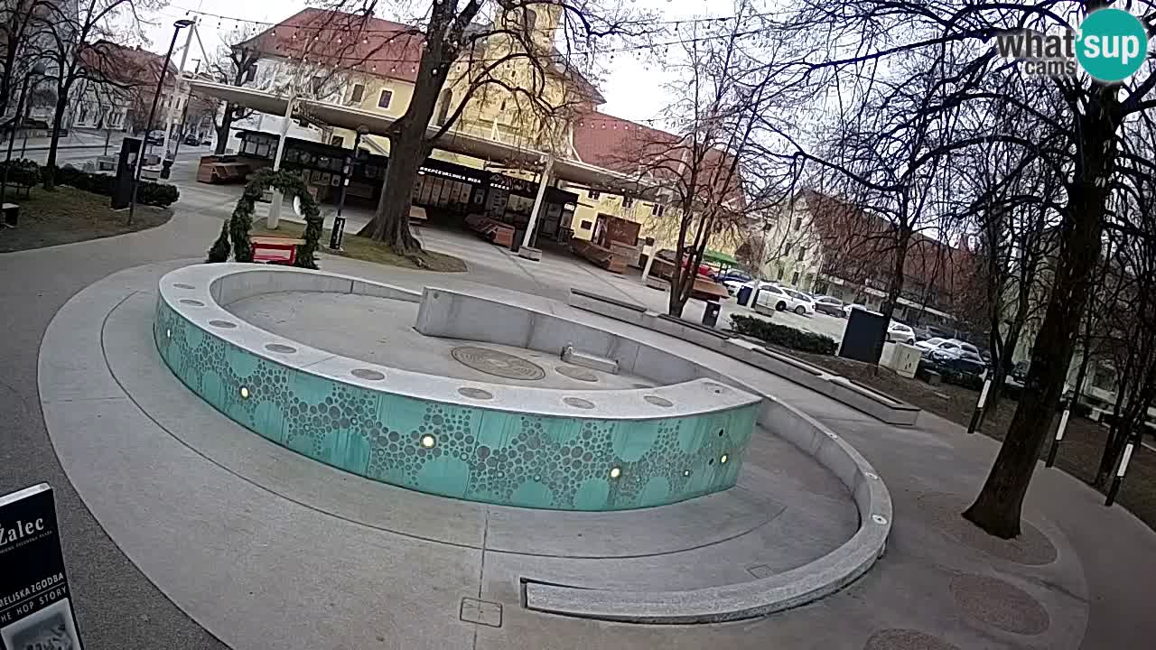 Fontana di birra Webcam – Oro verde – Žalec
