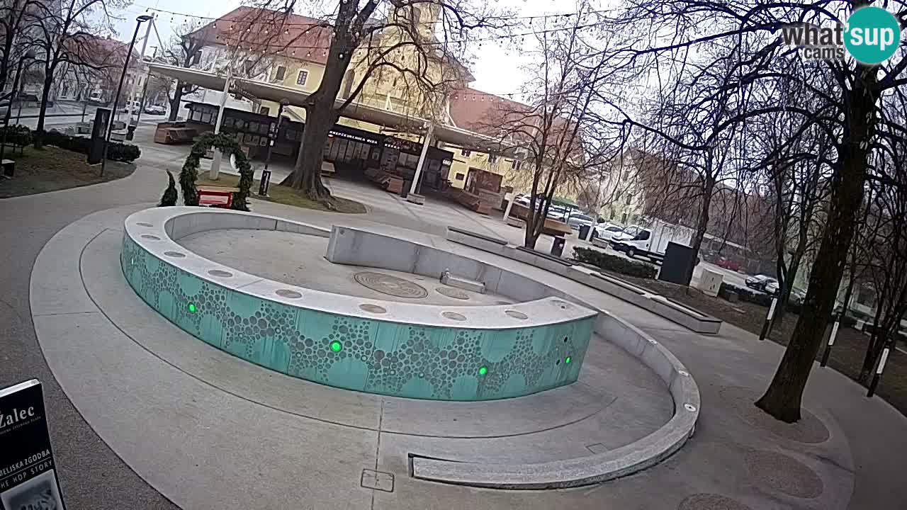 Web kamera Fontana piva – Zeleno zlato – Žalec