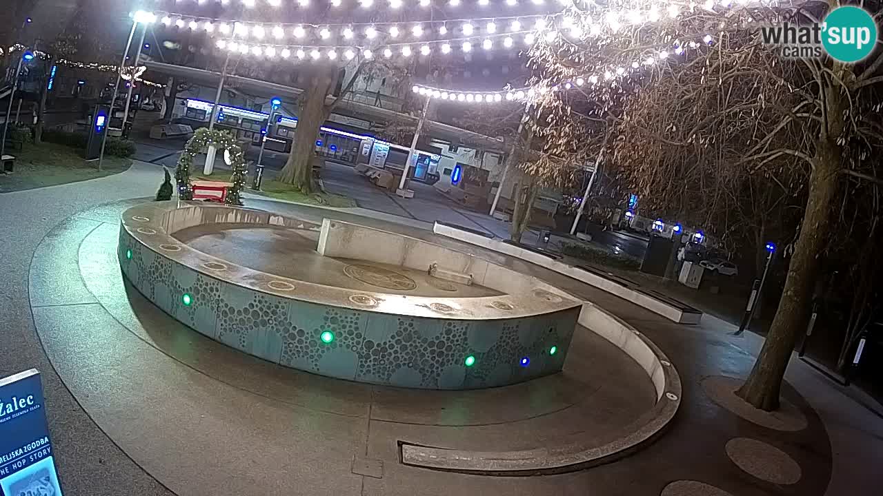 Camera en vivo Fuente de cerveza – Oro verde – Žalec