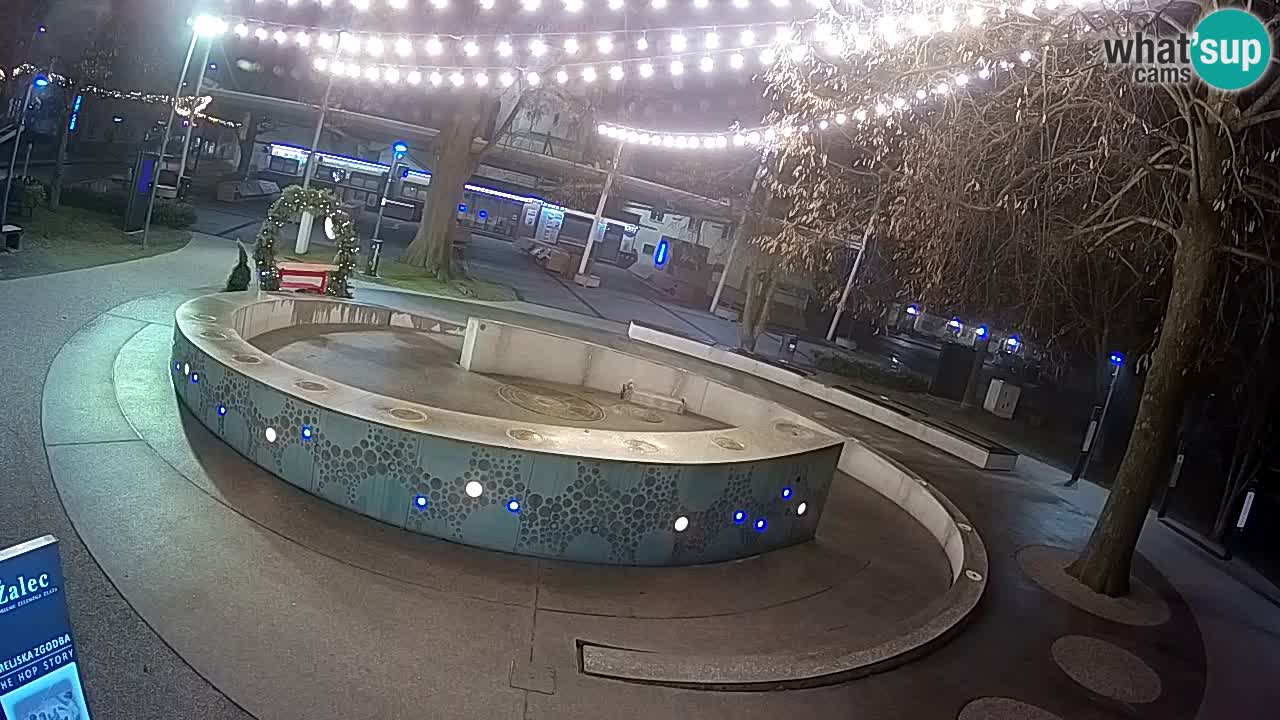 Fontaine à bière LIVE webcam – Or vert – Žalec