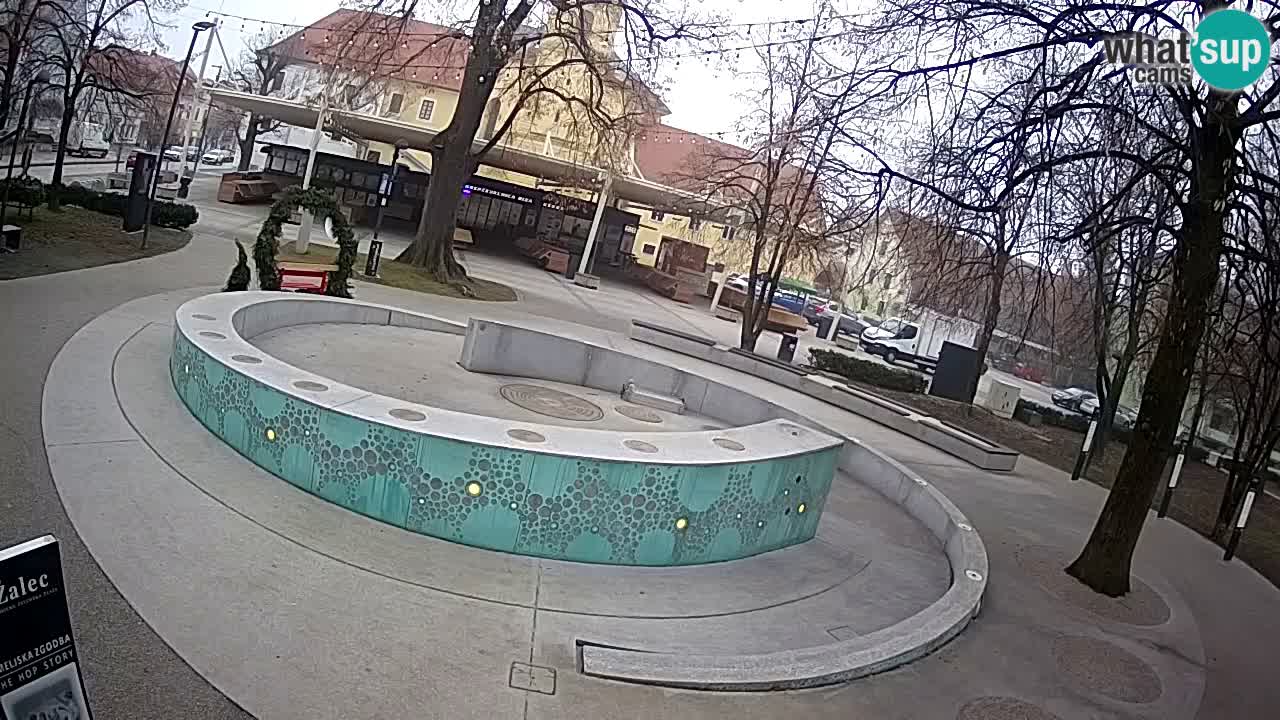 Web kamera Fontana piva – Zeleno zlato – Žalec