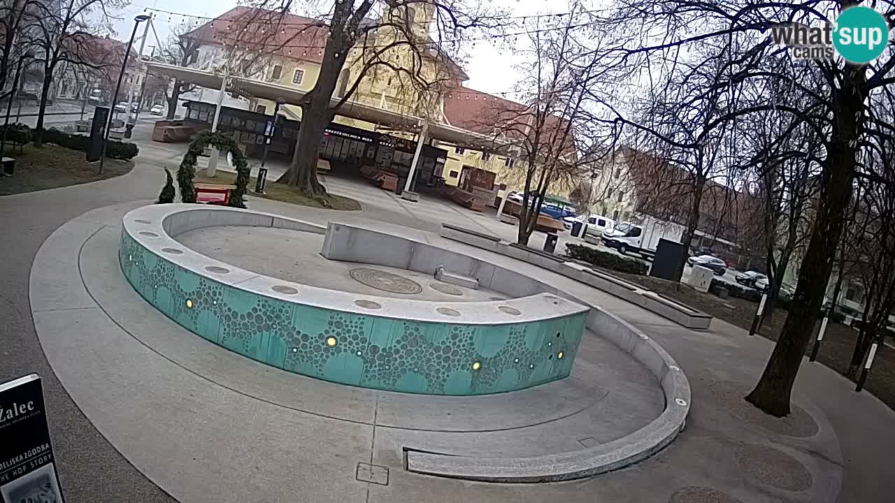 Camera en vivo Fuente de cerveza – Oro verde – Žalec