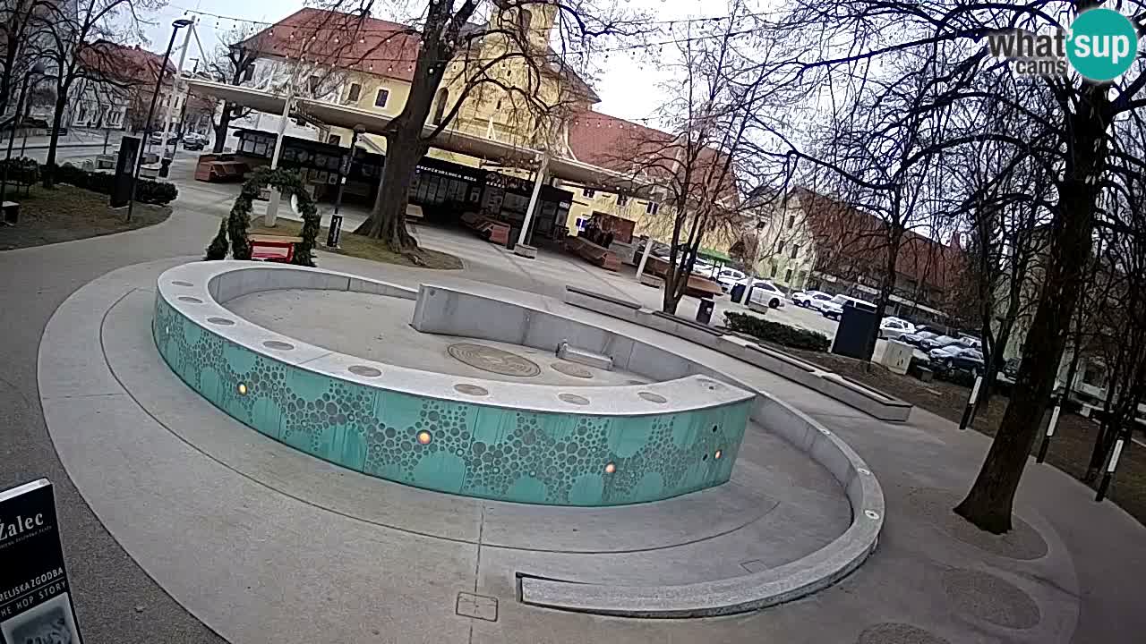 Bier-Springbrunnen Webcam Žalec – Grünen Goldes