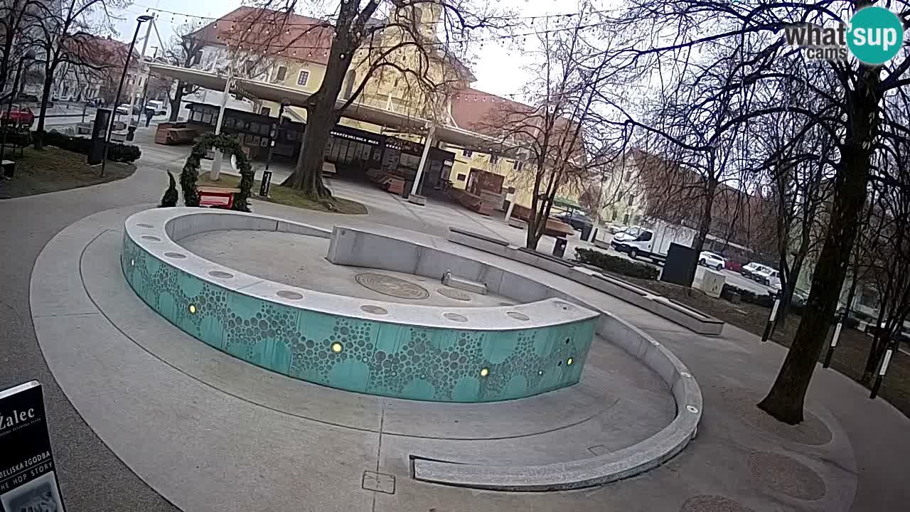Fontaine à bière LIVE webcam – Or vert – Žalec