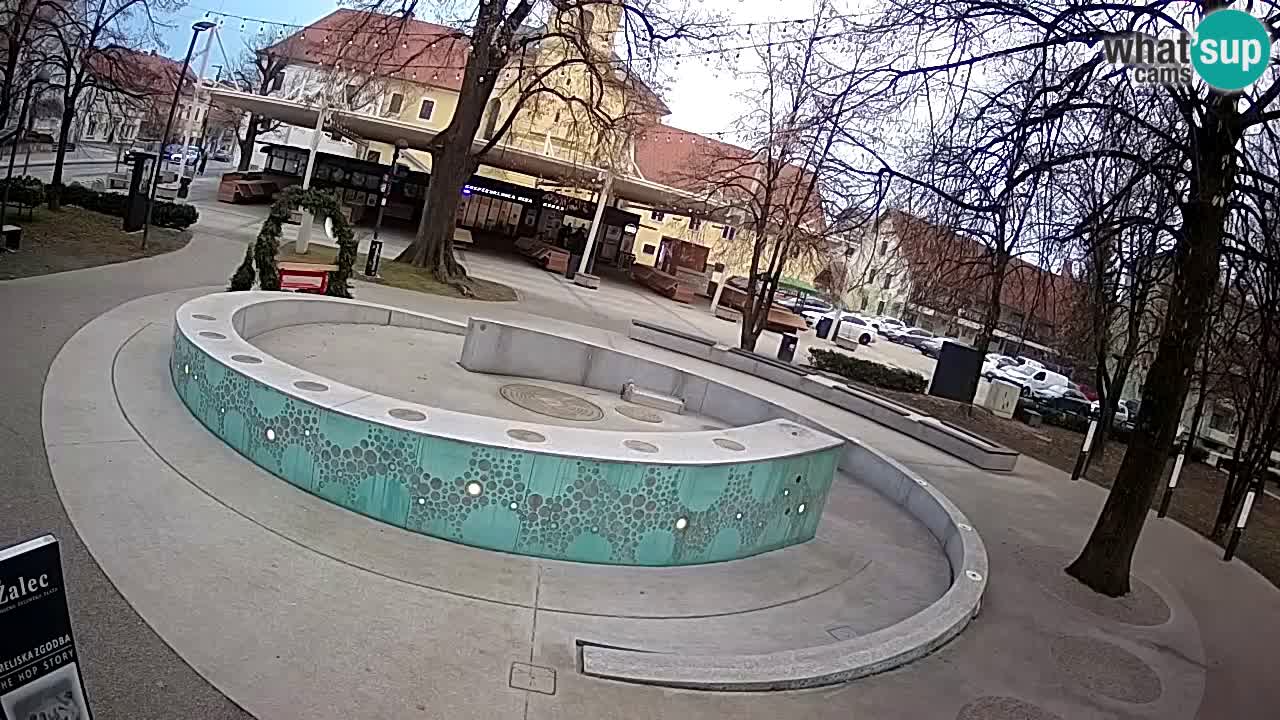 Bier-Springbrunnen Webcam Žalec – Grünen Goldes