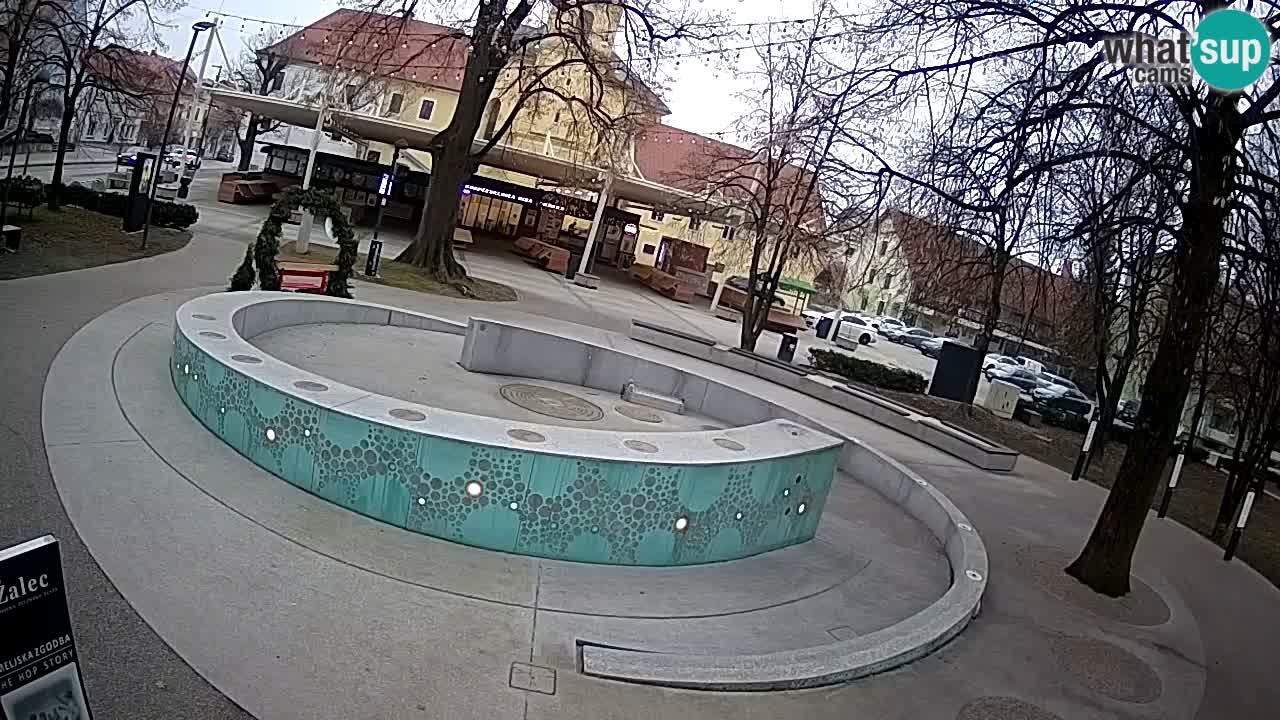 Camera en vivo Fuente de cerveza – Oro verde – Žalec