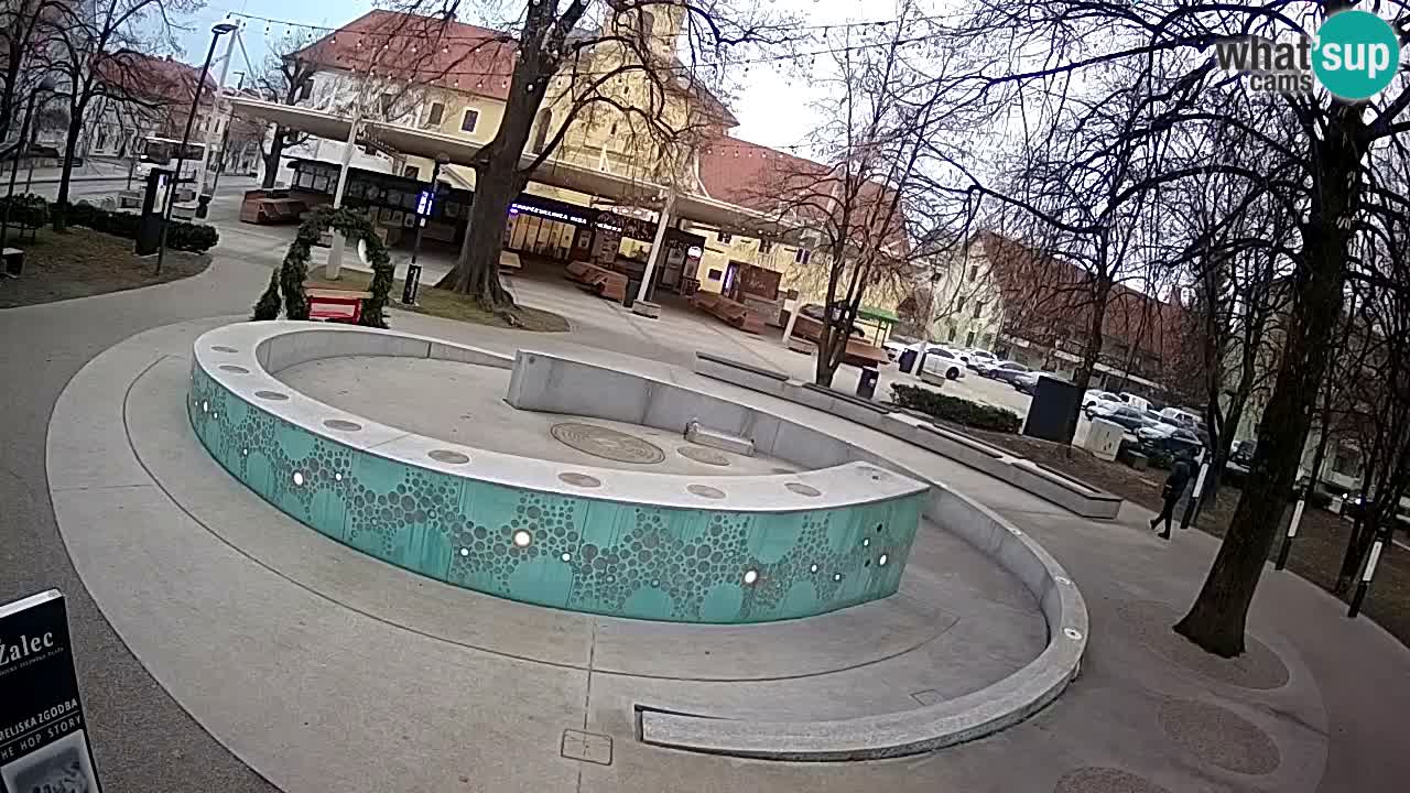 Fontaine à bière LIVE webcam – Or vert – Žalec