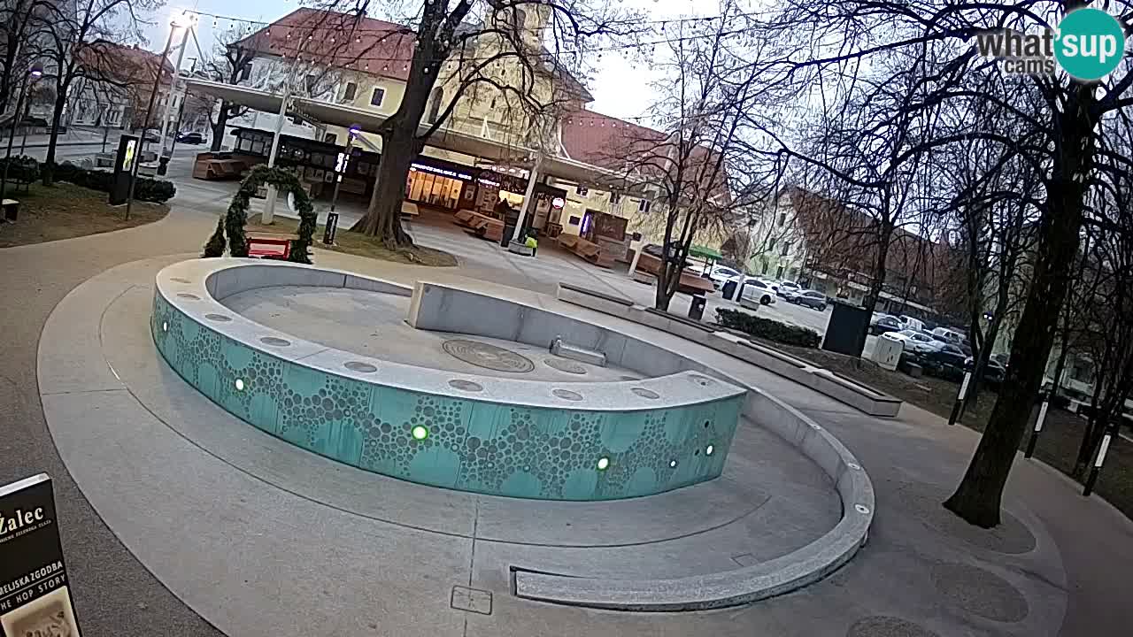 Fontaine à bière LIVE webcam – Or vert – Žalec
