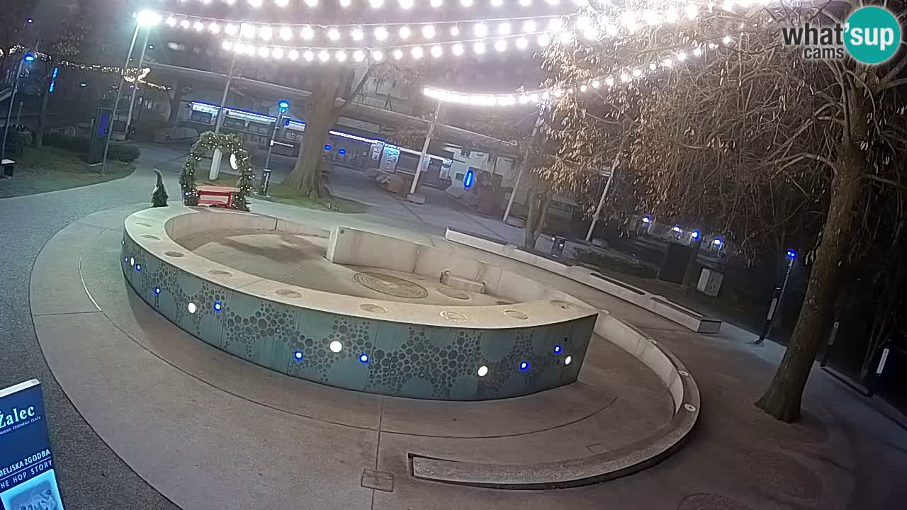 Fontaine à bière LIVE webcam – Or vert – Žalec