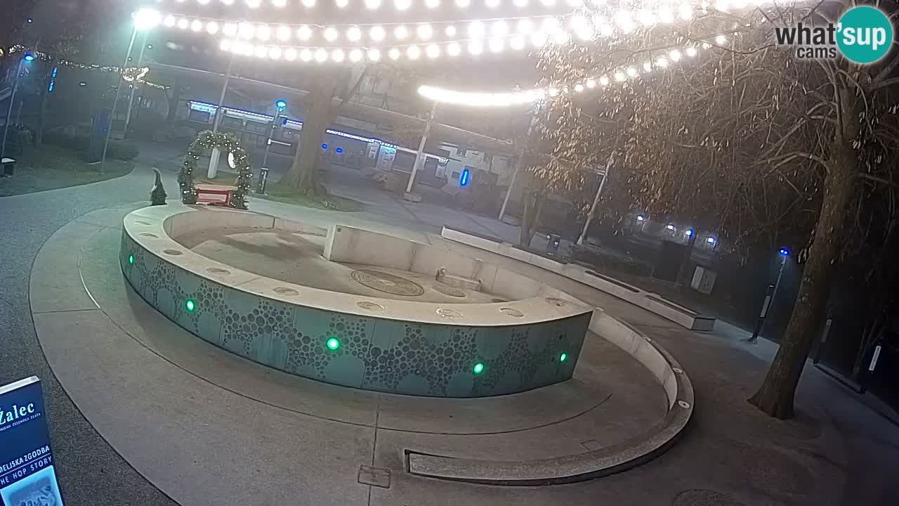 Fontana di birra Webcam – Oro verde – Žalec