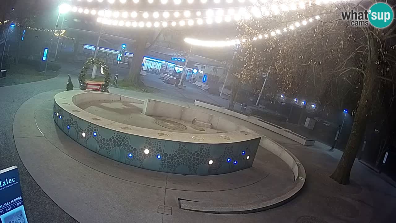 Bier-Springbrunnen Webcam Žalec – Grünen Goldes
