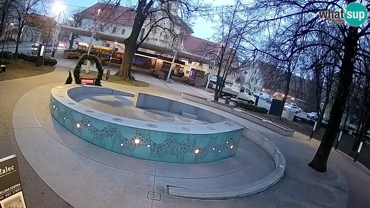 Spletna kamera Fontana Piv – Zeleno zlato Žalec