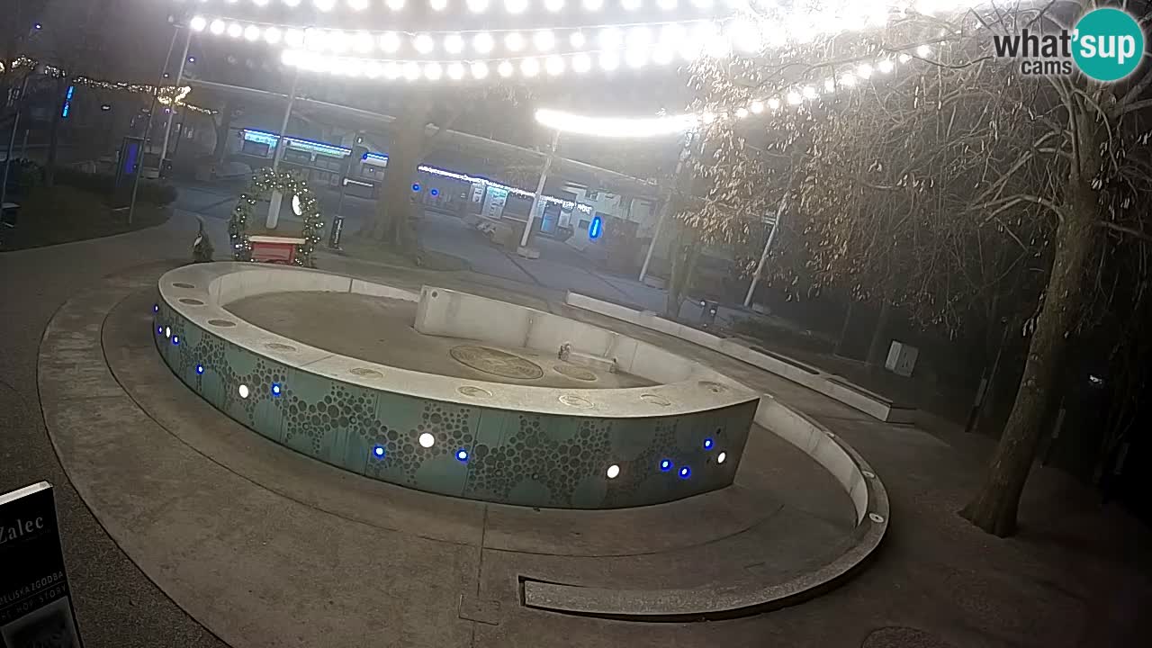 Fontana di birra Webcam – Oro verde – Žalec