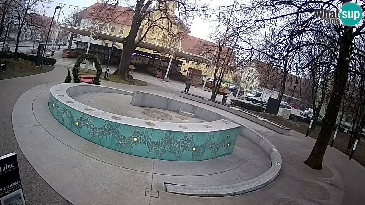 Camera en vivo Fuente de cerveza – Oro verde – Žalec