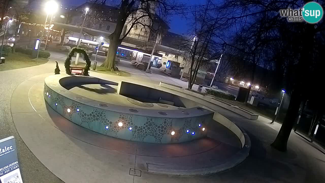 Camera en vivo Fuente de cerveza – Oro verde – Žalec