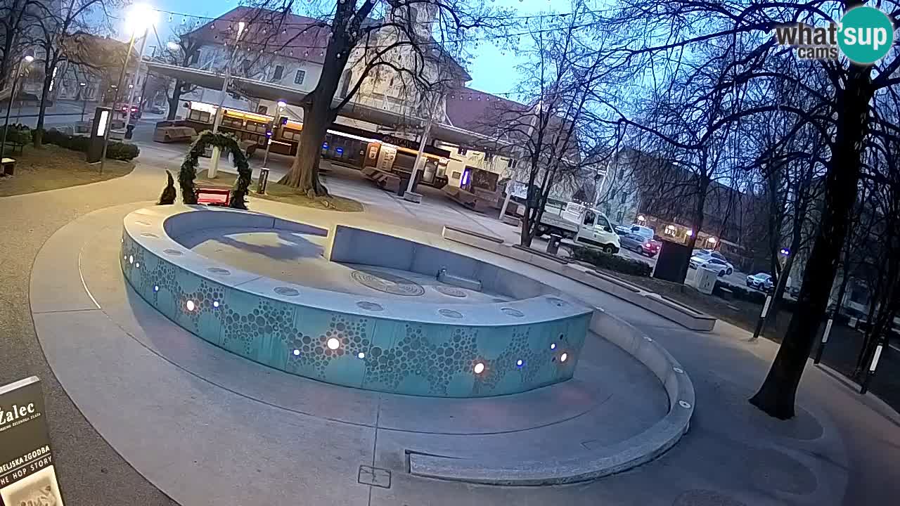 Spletna kamera Fontana Piv – Zeleno zlato Žalec