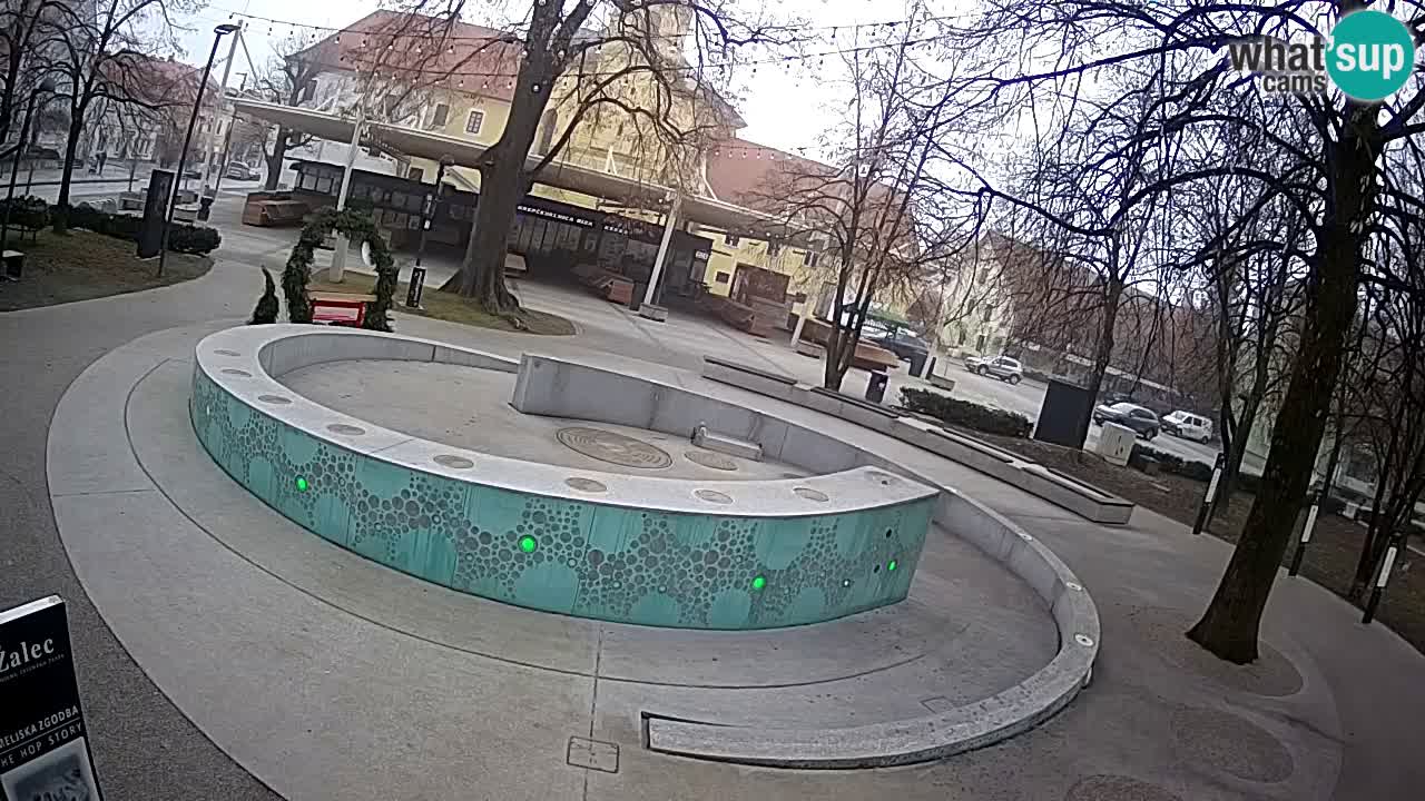 Fontaine à bière LIVE webcam – Or vert – Žalec