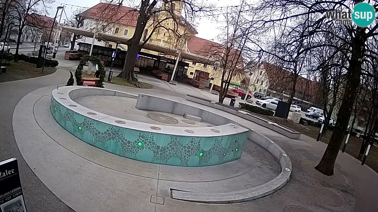 Fontana di birra Webcam – Oro verde – Žalec